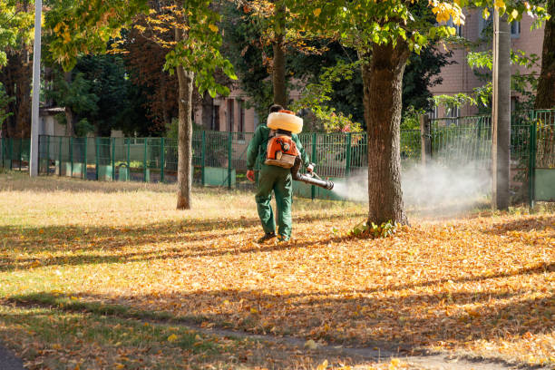 Bird Control in Wilkshire Hills, OH